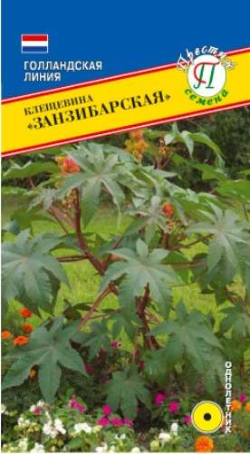 Клещевина Занзибарская (престиж) 5шт  – купить в г. Омск