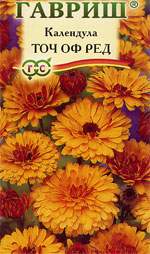 Календула Тач оф ред (гавриш) 0,2гр – купить в г. Омск Календула Тач оф ред (гавриш) 0,2гр – купить в г. Омск