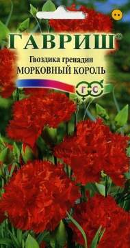 Гвоздика Морковный король (гавриш) 0,05 гр Гвоздика Морковный король (гавриш) 0,05 гр