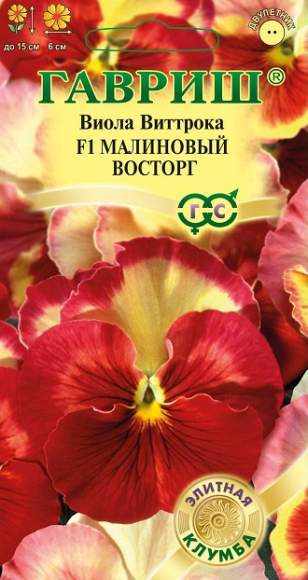 Виола Виттрока Малиновый восторг F1 (гавриш) 5 шт  – купить в г. Омск