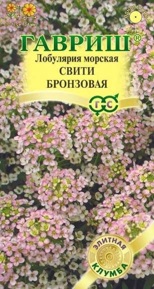 Лобулярия Свити бронзовая (гавриш) 15 шт  – купить в г. Омск