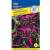 Колеус Мермеризе Шоколадная роза (престиж) 5 шт  – купить в г. Омск