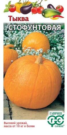 Тыква Стофунтовая (гавриш) 2,0 гр  – купить в г. Омск