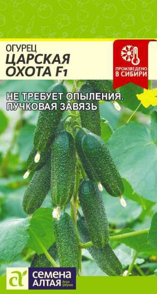 Огурец Царская охота F1 (семена Алтая) 5шт  – купить в г. Омск