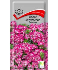 Флокс друммонда Пилигрим (поиск) 0,1 гр 