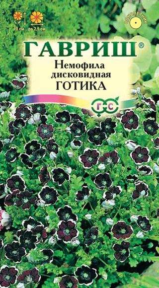 Немофила Готика (гавриш) 0,2 гр  – купить в г. Омск