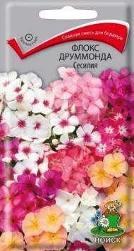 Флокс друммонда Сесилия (поиск) 0,3 гр 