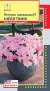 Петуния ампельная Шелл пинк F1 (плазмас) 5шт  – купить в г. Омск