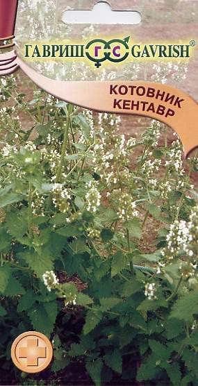 Котовник Кентавр (г) 0,1гр  – купить в г. Омск