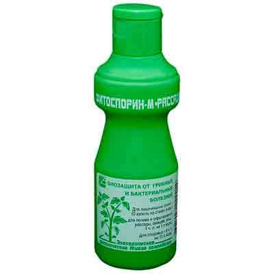 Фитоспорин-М-Рассада-Овощи-Ягоды 100 мл (БашИнком) – купить в г. Омск Фитоспорин-М-Рассада-Овощи-Ягоды 100 мл (БашИнком) – купить в г. Омск