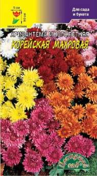 Хризантема Корейская махровая (цветущий сад) 0,02 гр