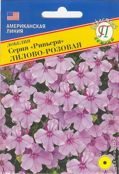 Лобелия Лилово-розовая (серия Ривьера) (престиж) 5 шт – купить в г. Омск Лобелия Лилово-розовая (серия Ривьера) (престиж) 5 шт – купить в г. Омск