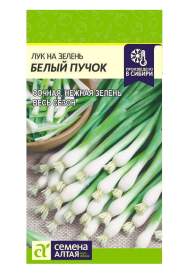 Лук на зелень Белый пучок (семена Алтая) 0,3гр