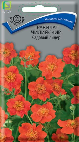 Гравилат Чилийский Садовый лидер (поиск) 0,1гр  – купить в г. Омск
