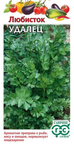 Любисток Удалец (гавриш) 0,5 гр – купить в г. Омск Любисток Удалец (гавриш) 0,5 гр – купить в г. Омск