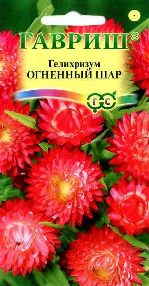 Гелихризум огненный шар (гавриш) 0,1гр  – купить в г. Омск