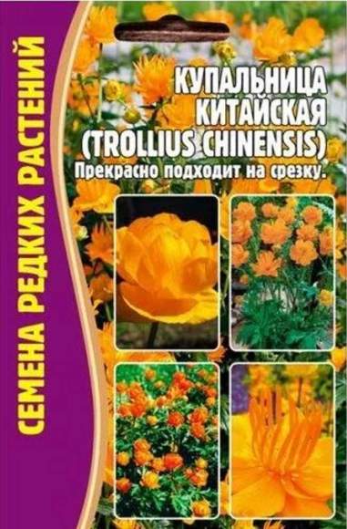 Купальница Китайская (Григорьев) 20шт  – купить в г. Омск