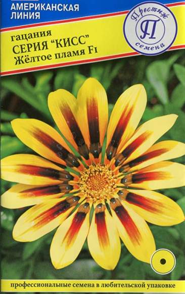 Гацания серия Кисс Желтое пламя F1 (престиж) 5 шт  – купить в г. Омск
