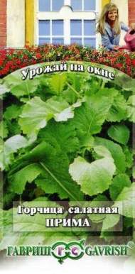 Горчица листовая Прима (гавриш) 1,0 гр (урожай на окне)