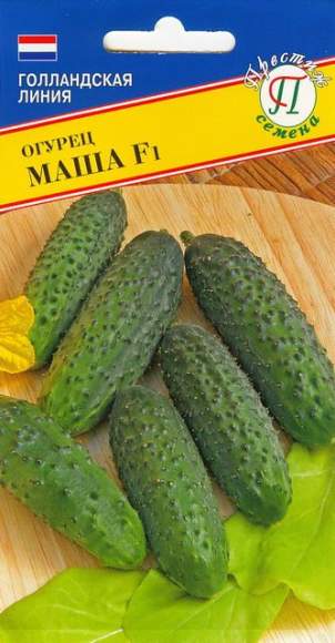 Огурец Маша F1 (престиж) 5 шт (seminis)  – купить в г. Омск