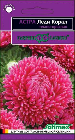 Астра Леди коралл темно-красная (гавриш) 0,05 гр – купить в г. Омск Астра Леди коралл темно-красная (гавриш) 0,05 гр – купить в г. Омск