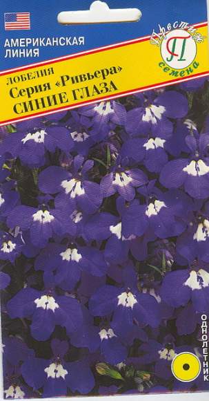 Лобелия Синие глаза (серия Ривьера) (престиж) 5 шт – купить в г. Омск Лобелия Синие глаза (серия Ривьера) (престиж) 5 шт – купить в г. Омск
