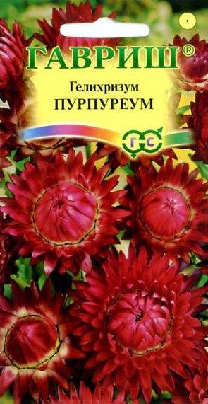 Гелихризум Пурпуреум (гавриш) 0,1гр  – купить в г. Омск