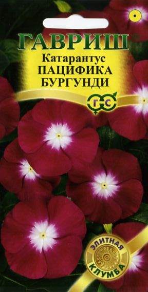 Катарантус Пацифика бургунди (гавриш) 5шт  – купить в г. Омск