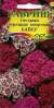 Гвоздика Байер турецкая махровая (гавриш) 0,1 гр  – купить в г. Омск