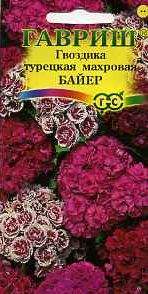 Гвоздика Байер турецкая махровая (гавриш) 0,1 гр  – купить в г. Омск