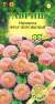 Маргаритка Фрау персиковая (гавриш) 4шт   – купить в г. Омск
