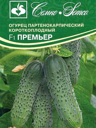 Огурец Премьер F1 (семко) 5 шт – купить в г. Омск Огурец Премьер F1 (семко) 5 шт – купить в г. Омск