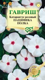 Катарантус Пацифика полка (гавриш) 5шт Катарантус Пацифика полка (гавриш) 5шт