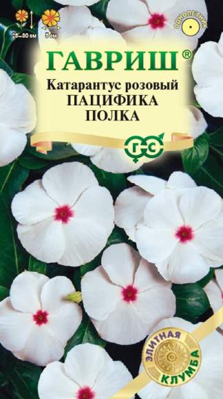 Катарантус Пацифика полка (гавриш) 5шт – купить в г. Омск Катарантус Пацифика полка (гавриш) 5шт – купить в г. Омск