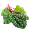 мангольд