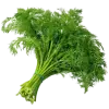 укроп