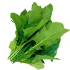 щавель