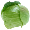 Капуста