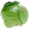 Капуста