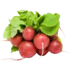 редис